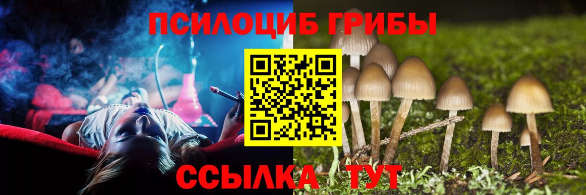 Северобайкальск  Псилоцибиновые грибы GOLDEN TEACHER  Псилоцибиновые грибы ЛСД  Вход с VPN 